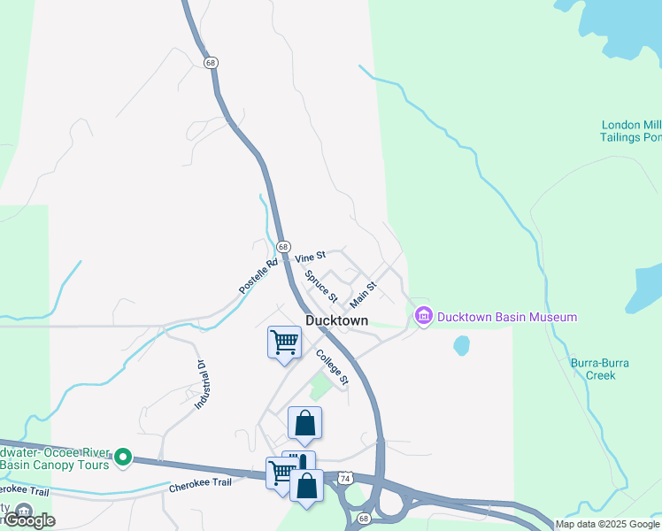 map of restaurants, bars, coffee shops, grocery stores, and more near 159-177 Vine St in Copperhill
