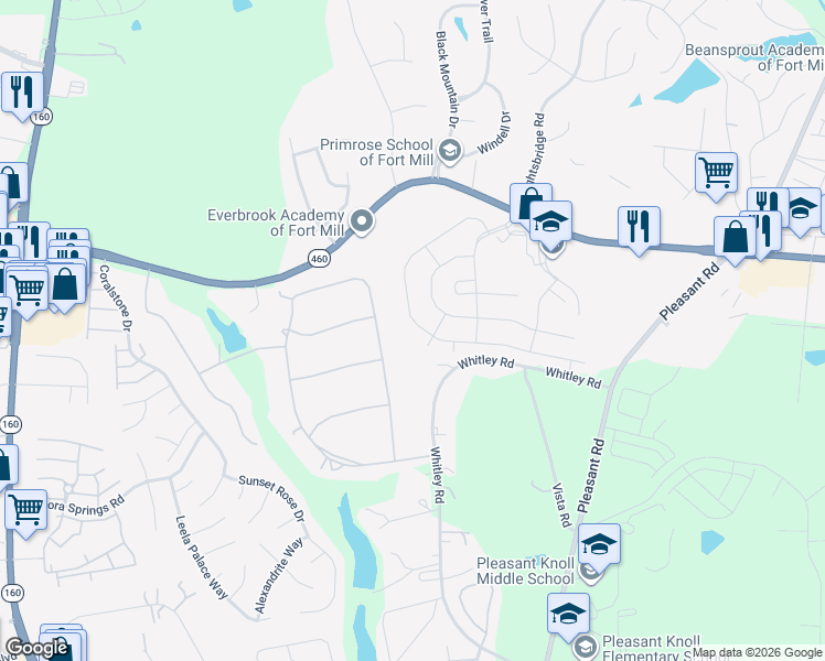 map of restaurants, bars, coffee shops, grocery stores, and more near 893 Platinum Drive in Fort Mill