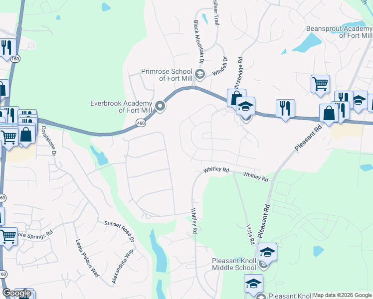 map of restaurants, bars, coffee shops, grocery stores, and more near 893 Platinum Drive in Fort Mill