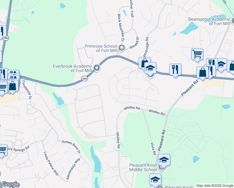 map of restaurants, bars, coffee shops, grocery stores, and more near 893 Platinum Drive in Fort Mill
