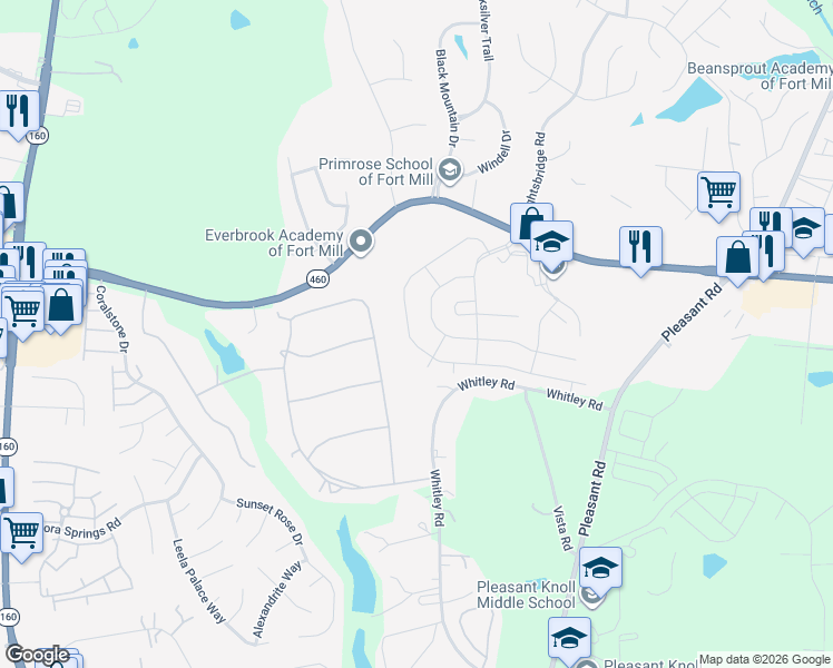 map of restaurants, bars, coffee shops, grocery stores, and more near 893 Platinum Drive in Fort Mill