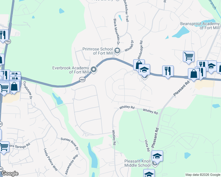 map of restaurants, bars, coffee shops, grocery stores, and more near 893 Platinum Drive in Fort Mill