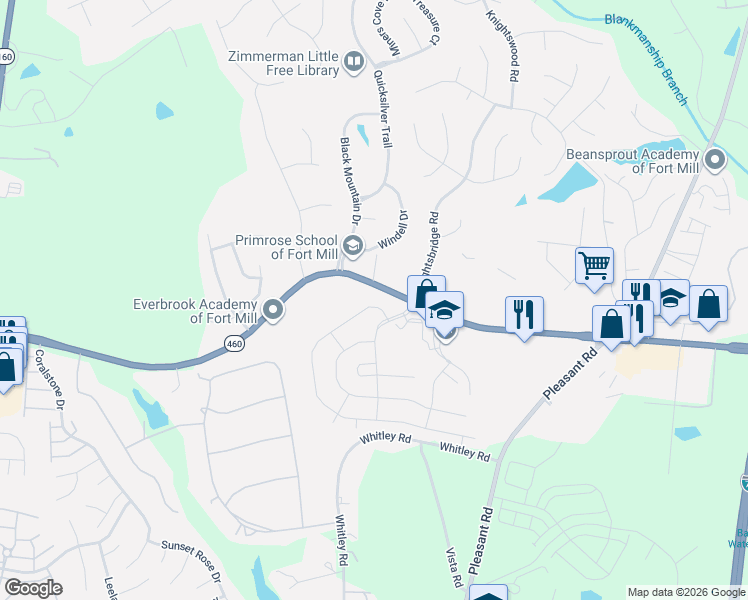 map of restaurants, bars, coffee shops, grocery stores, and more near 794 Platinum Drive in Fort Mill