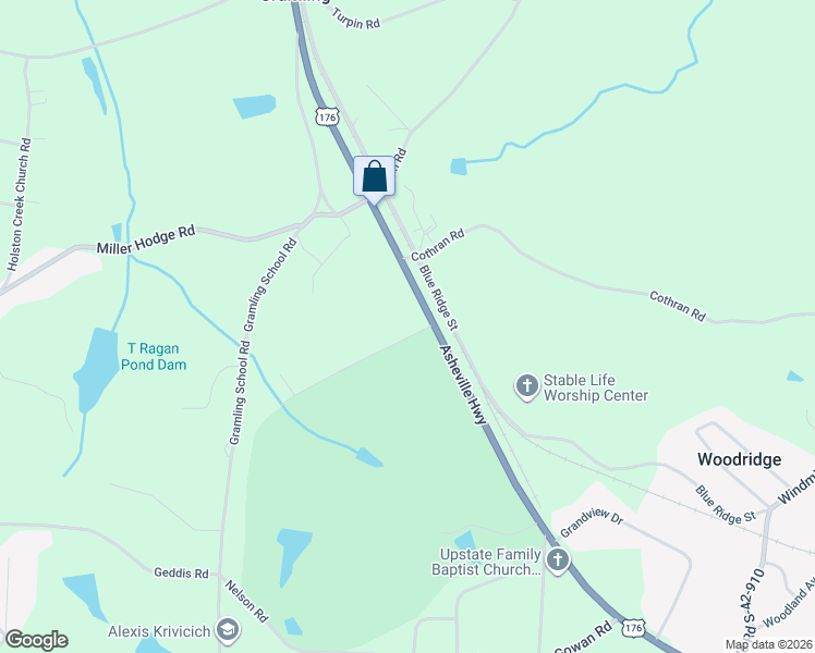 map of restaurants, bars, coffee shops, grocery stores, and more near 125 Settle Drive in Inman