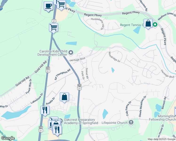 map of restaurants, bars, coffee shops, grocery stores, and more near 159 Snead Road in Fort Mill