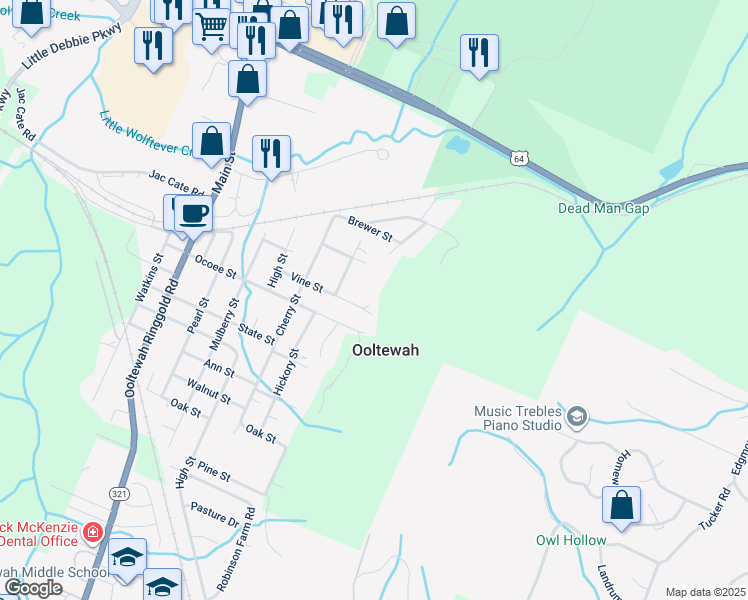 map of restaurants, bars, coffee shops, grocery stores, and more near 9625 Vine Street in Ooltewah