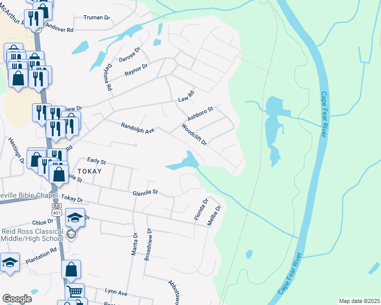 map of restaurants, bars, coffee shops, grocery stores, and more near 524 Randolph Avenue in Fayetteville