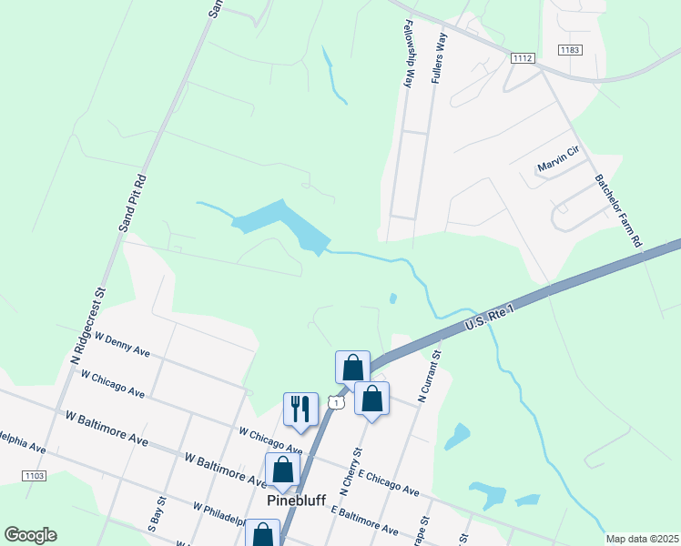 map of restaurants, bars, coffee shops, grocery stores, and more near Old US Highway 1 in Southern Pines