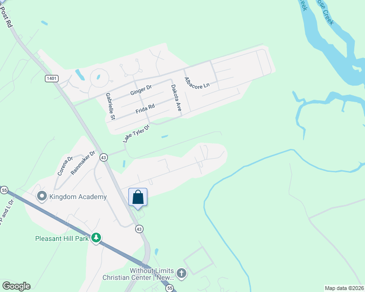 map of restaurants, bars, coffee shops, grocery stores, and more near 246 Lake Tyler Drive in New Bern