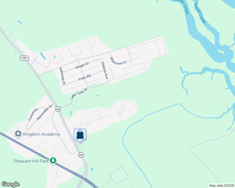 map of restaurants, bars, coffee shops, grocery stores, and more near 257 Lake Tyler Dr in New Bern