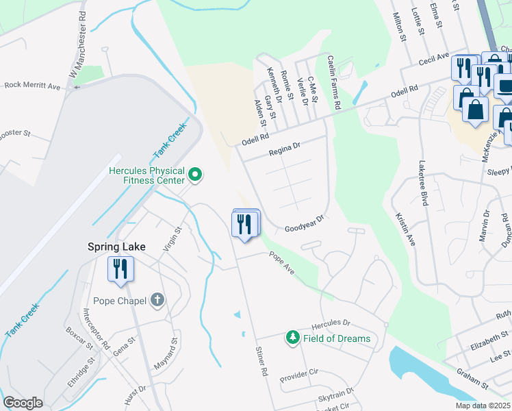 map of restaurants, bars, coffee shops, grocery stores, and more near 737 Goodyear Drive in Spring Lake