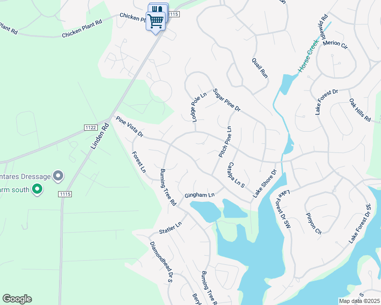 map of restaurants, bars, coffee shops, grocery stores, and more near 199 Pine Vista Drive in Pinehurst