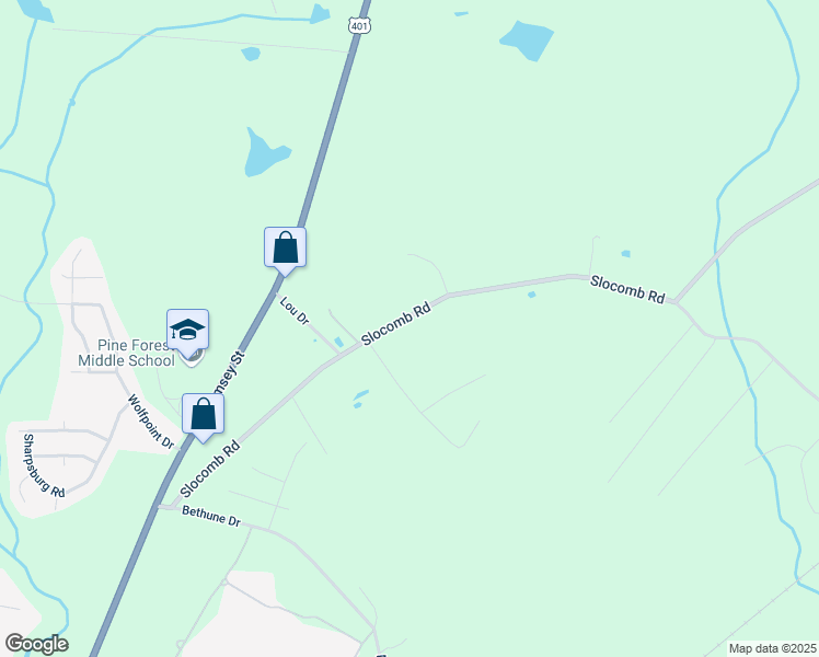 map of restaurants, bars, coffee shops, grocery stores, and more near 450 Slocomb Road in Fayetteville