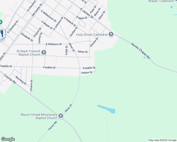 map of restaurants, bars, coffee shops, grocery stores, and more near 119 Patton Street in Mount Olive