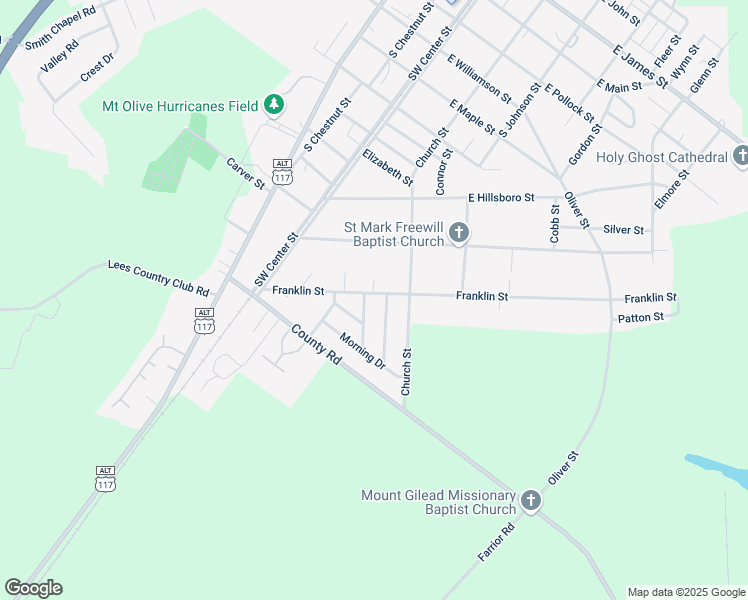 map of restaurants, bars, coffee shops, grocery stores, and more near 105 Lewis Avenue in Mount Olive