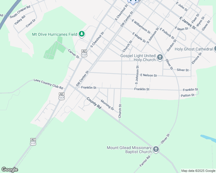 map of restaurants, bars, coffee shops, grocery stores, and more near 227 Franklin Street in Mount Olive