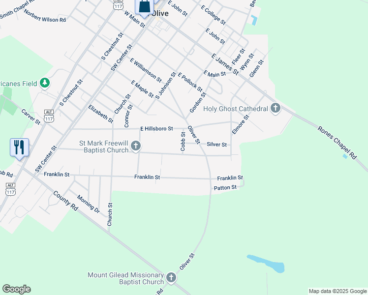 map of restaurants, bars, coffee shops, grocery stores, and more near 203 Cobb Street in Mount Olive