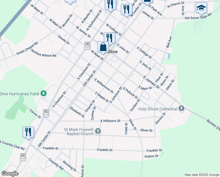 map of restaurants, bars, coffee shops, grocery stores, and more near 209 East Williamson Street in Mount Olive
