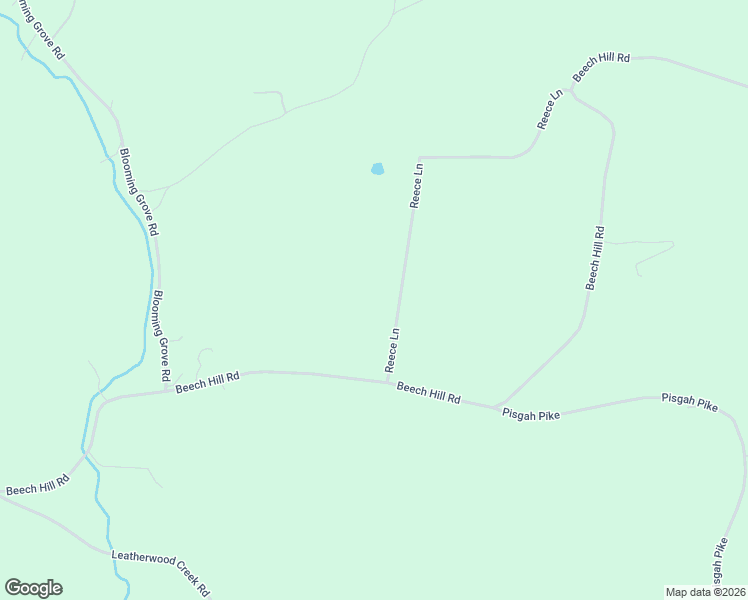 map of restaurants, bars, coffee shops, grocery stores, and more near 203 Reece Lane in Pulaski