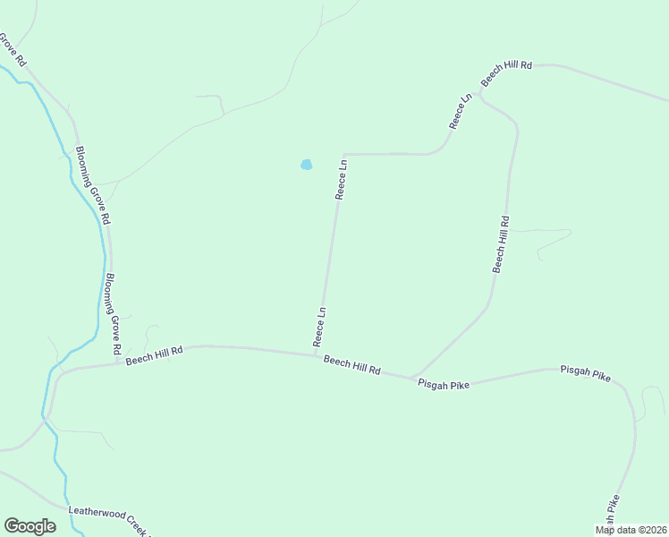 map of restaurants, bars, coffee shops, grocery stores, and more near 203 Reece Lane in Pulaski