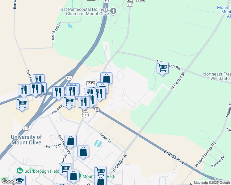 map of restaurants, bars, coffee shops, grocery stores, and more near 210 Dogwood Lane in Mount Olive