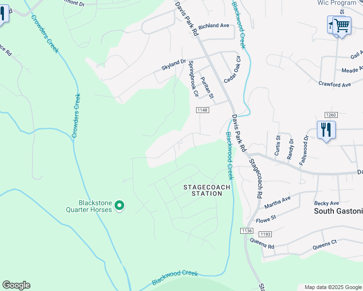 map of restaurants, bars, coffee shops, grocery stores, and more near 2738 Penny Park Drive in Gastonia