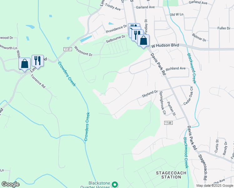 map of restaurants, bars, coffee shops, grocery stores, and more near 101 Grassy Court in Gastonia