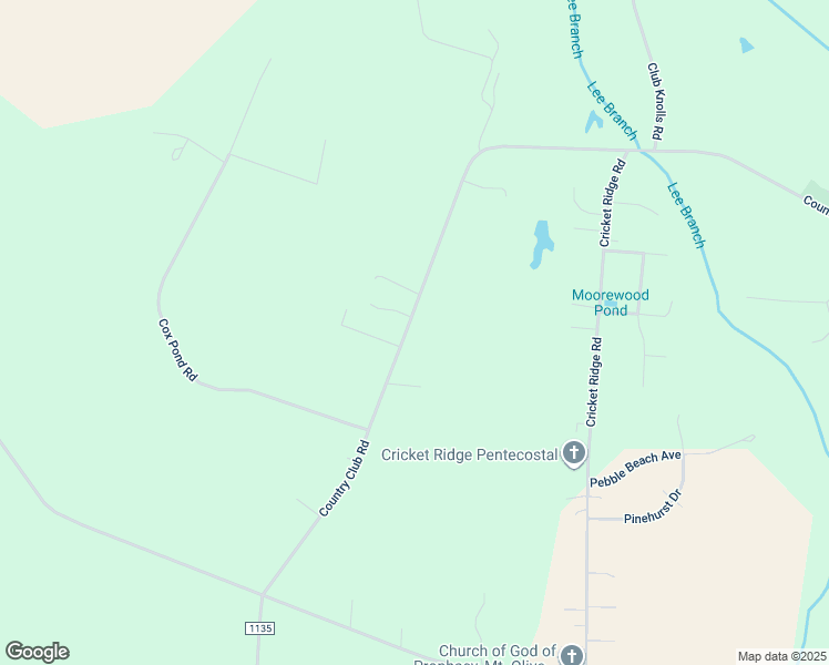 map of restaurants, bars, coffee shops, grocery stores, and more near 729 Country Club Road in Mount Olive