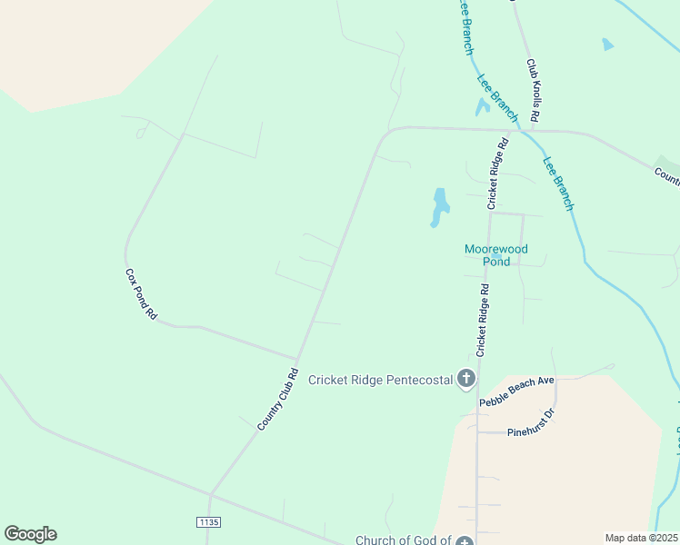 map of restaurants, bars, coffee shops, grocery stores, and more near 729 Country Club Road in Mount Olive