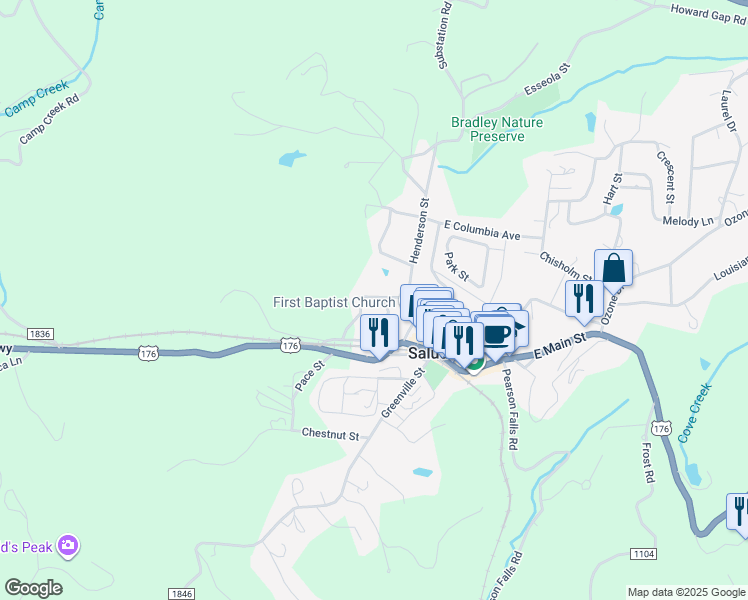 map of restaurants, bars, coffee shops, grocery stores, and more near 117 Gaffney Street in Saluda