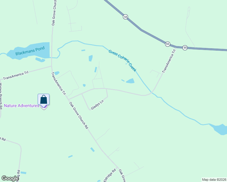 map of restaurants, bars, coffee shops, grocery stores, and more near 380 Old Crow Road in Newton Grove