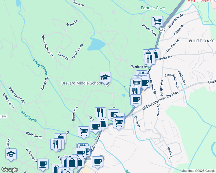 map of restaurants, bars, coffee shops, grocery stores, and more near 400 Fisher Road in Brevard
