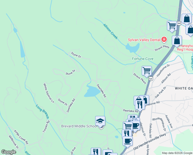 map of restaurants, bars, coffee shops, grocery stores, and more near 41 Stone Drive in Brevard