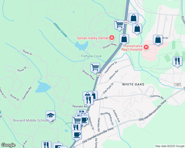 map of restaurants, bars, coffee shops, grocery stores, and more near 2 Market Street in Brevard