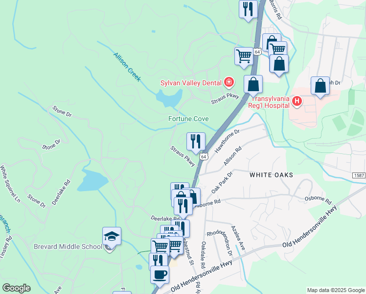 map of restaurants, bars, coffee shops, grocery stores, and more near 2 Market Street in Brevard