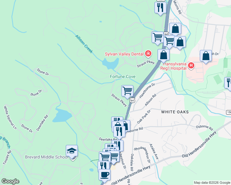 map of restaurants, bars, coffee shops, grocery stores, and more near 61 Camp Straus Rd in Brevard