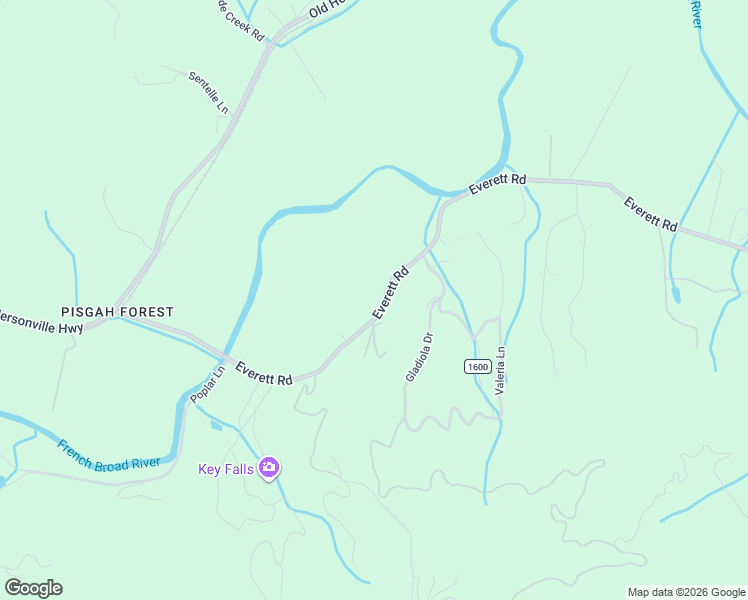map of restaurants, bars, coffee shops, grocery stores, and more near 795 Everett Road in Pisgah Forest