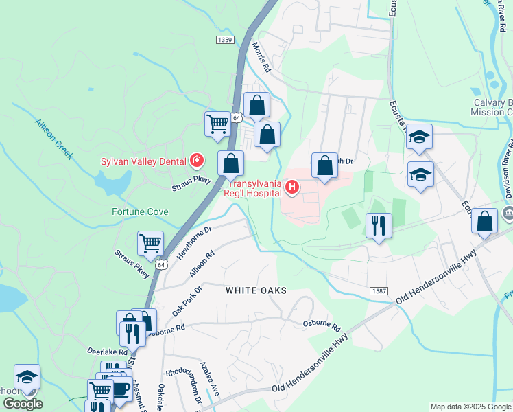 map of restaurants, bars, coffee shops, grocery stores, and more near 120 Hospital Drive in Brevard
