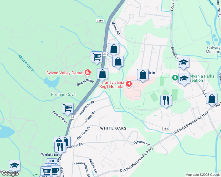 map of restaurants, bars, coffee shops, grocery stores, and more near 120 Hospital Drive in Brevard