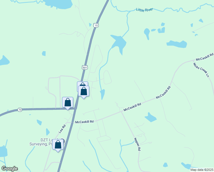 map of restaurants, bars, coffee shops, grocery stores, and more near 135 Dundee Drive in Carthage