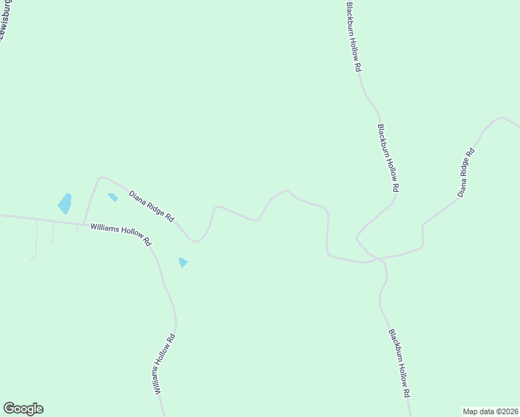 map of restaurants, bars, coffee shops, grocery stores, and more near 859 Diana Ridge Road in Pulaski