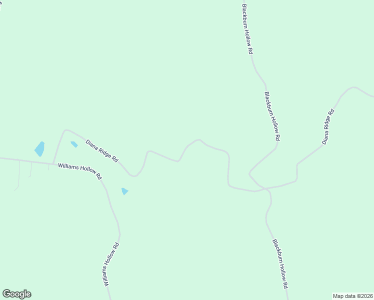 map of restaurants, bars, coffee shops, grocery stores, and more near 1100 Diana Ridge Road in Pulaski