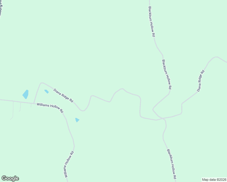 map of restaurants, bars, coffee shops, grocery stores, and more near 1100 Diana Ridge Road in Pulaski