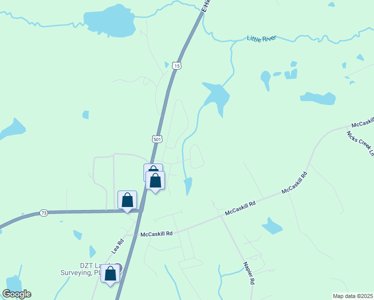 map of restaurants, bars, coffee shops, grocery stores, and more near 113 Dundee Drive in Carthage