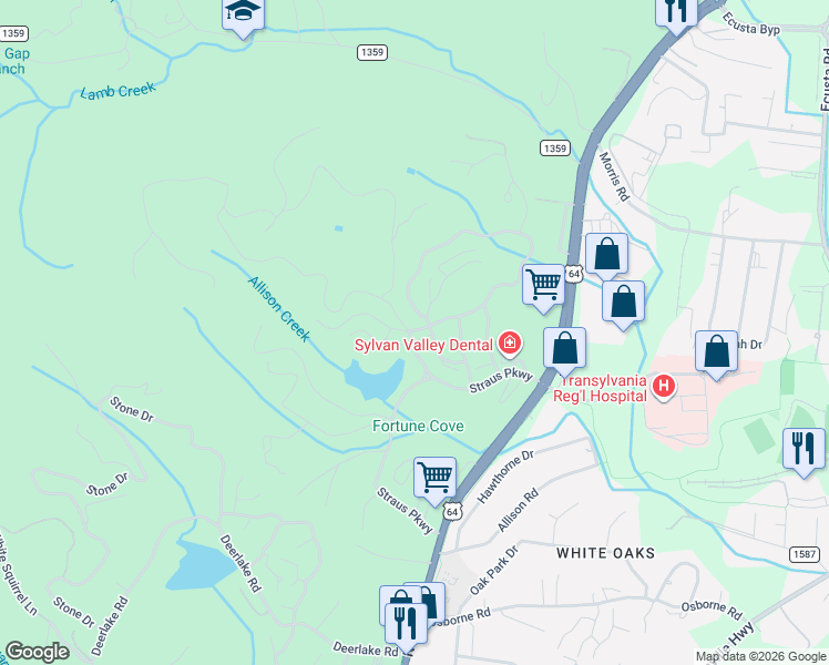 map of restaurants, bars, coffee shops, grocery stores, and more near 790 Camptown Road in Brevard