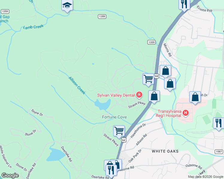 map of restaurants, bars, coffee shops, grocery stores, and more near 790 Camptown Road in Brevard