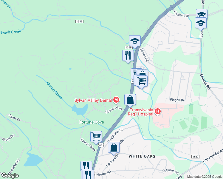 map of restaurants, bars, coffee shops, grocery stores, and more near 152 Camptown Road in Brevard