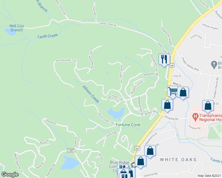 map of restaurants, bars, coffee shops, grocery stores, and more near 290 Pine Mountain Trail in Brevard