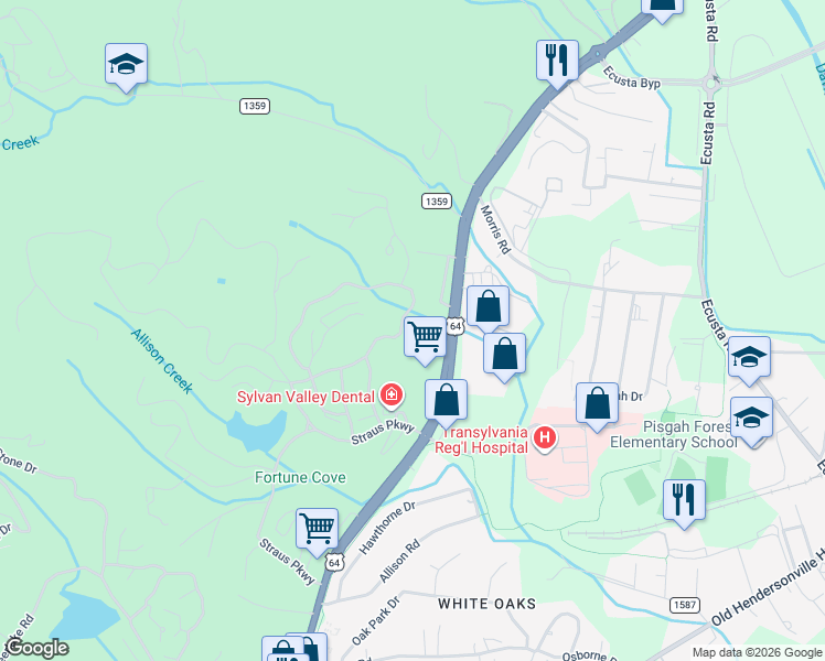 map of restaurants, bars, coffee shops, grocery stores, and more near 305 Camptown Road in Brevard