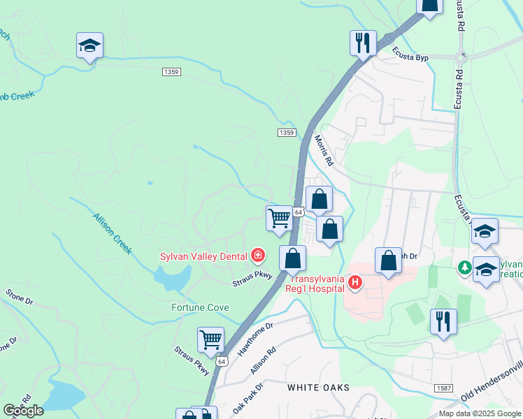 map of restaurants, bars, coffee shops, grocery stores, and more near 305 Camptown Road in Brevard